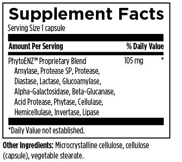 Designs for Health - USA Plant Enzymes Digestive Formula