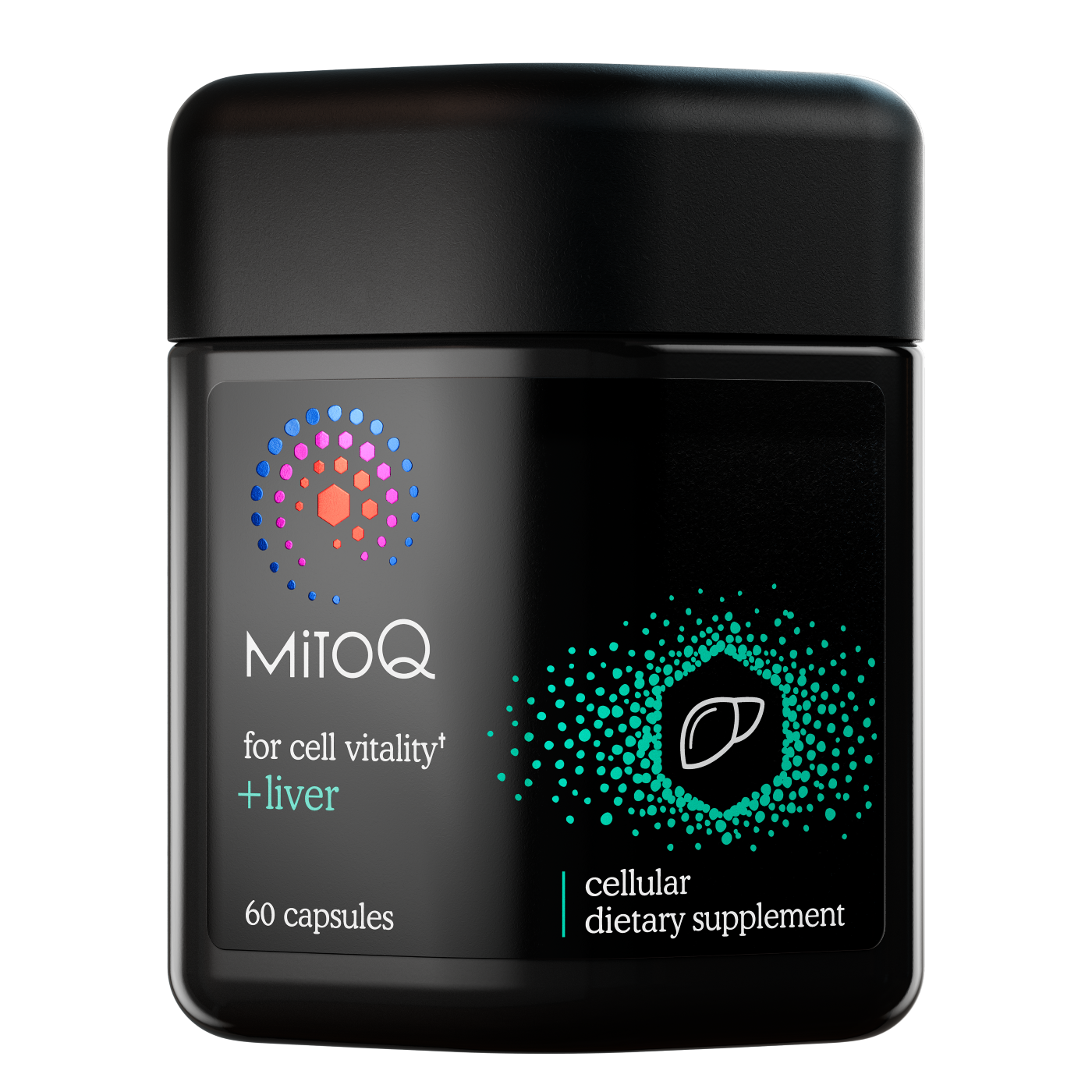 MitoQ +Liver